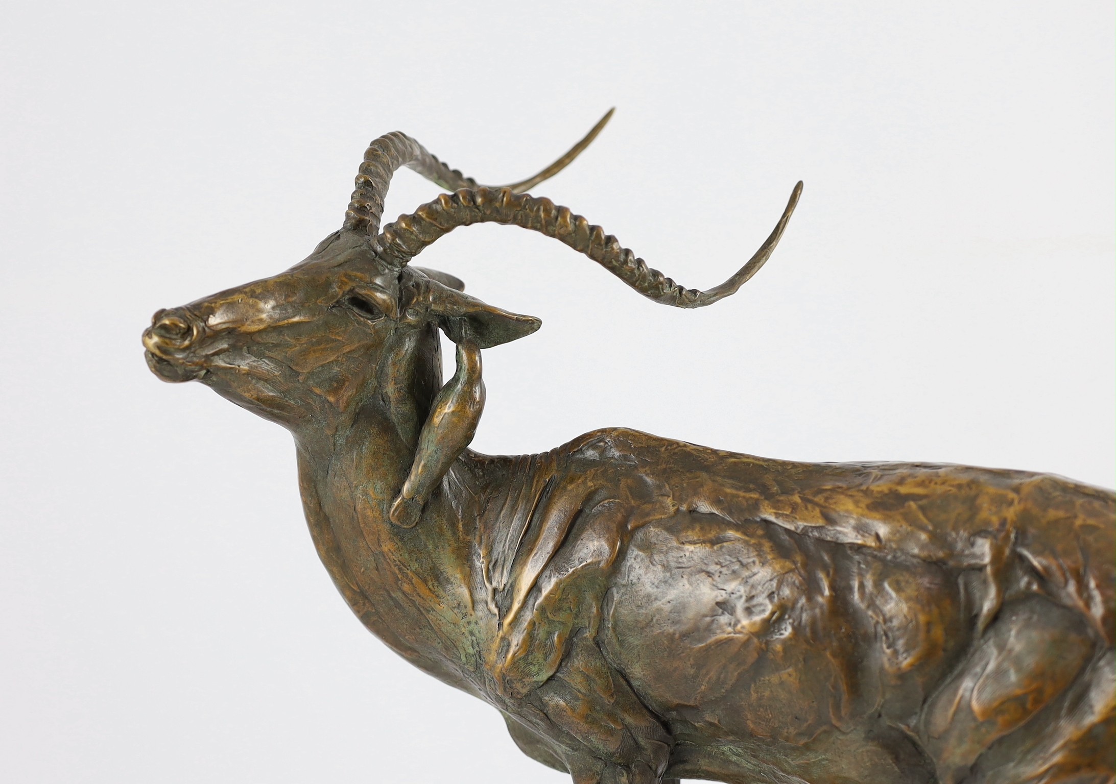 Robert Glen (African/American b.1940). A bronze study of an Eland, 44cm high 39cm long